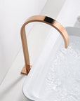 Raffo - Long Tube Two Hole Bathroom Sink Faucet