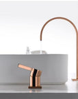 Raffo - Long Tube Two Hole Bathroom Sink Faucet