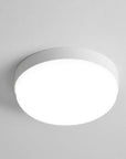 Keaton - Waterproof Ceiling Light