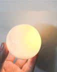 Sirenita - Pearl & Shell Desk Lamp