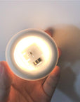 Sirenita - Pearl & Shell Desk Lamp