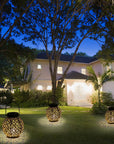 Imane - Outdoor Shadow Cast Lantern
